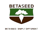 BETASEED-ICO